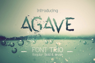 Agave Font Trio: A Versatile Toolkit for Modern Design